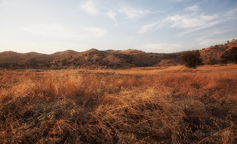 Warmes Licht bei Sonnenuntergang